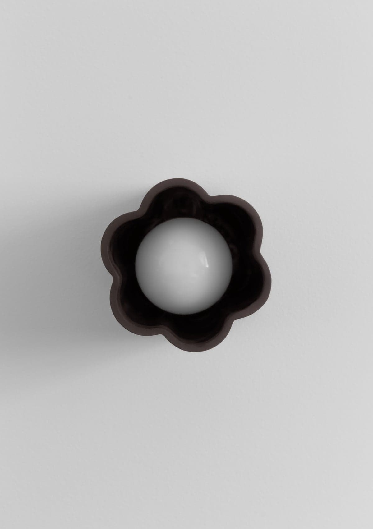 Lottie in chocolate -chocolate